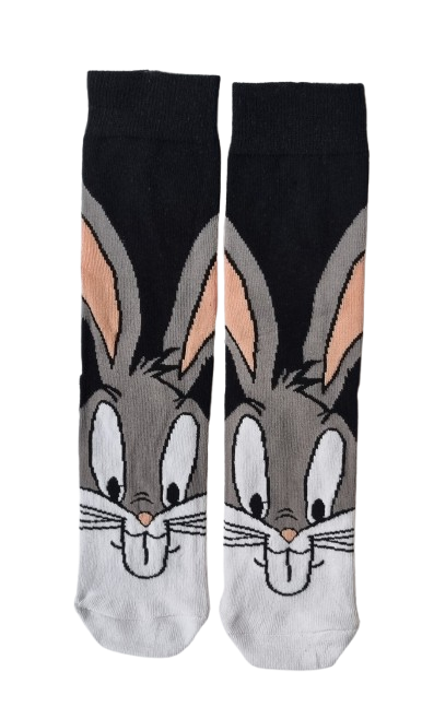 20260203_152552-removebg-preview