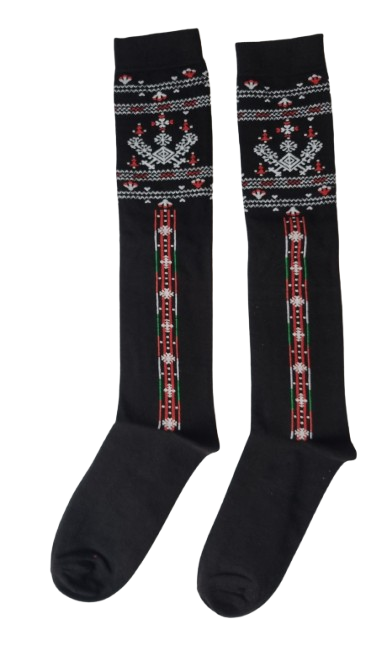 20260131_110000-removebg-preview