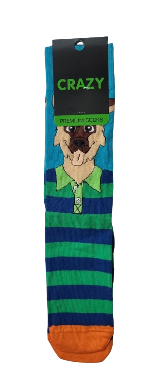 20251220_145817-removebg-preview