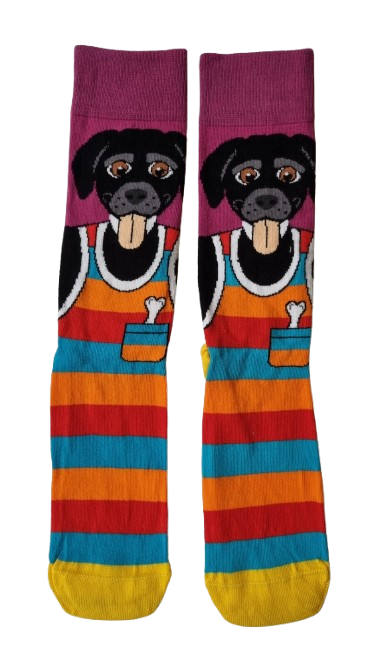 20260124_121755-removebg-preview